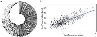 Challenges and opportunities of strain diversity in gut microbiome research